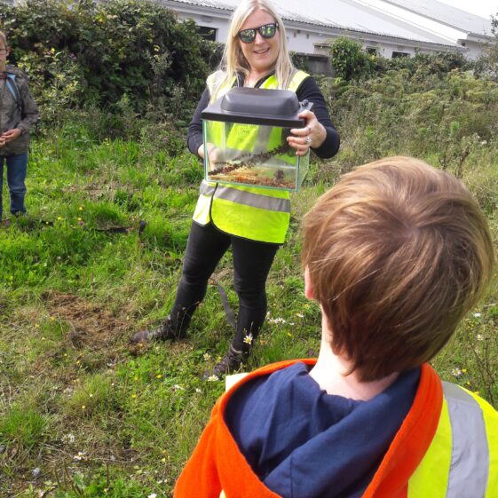 20180824_121824 Year of O'Flaherty 'Go Wild' Nature Camp