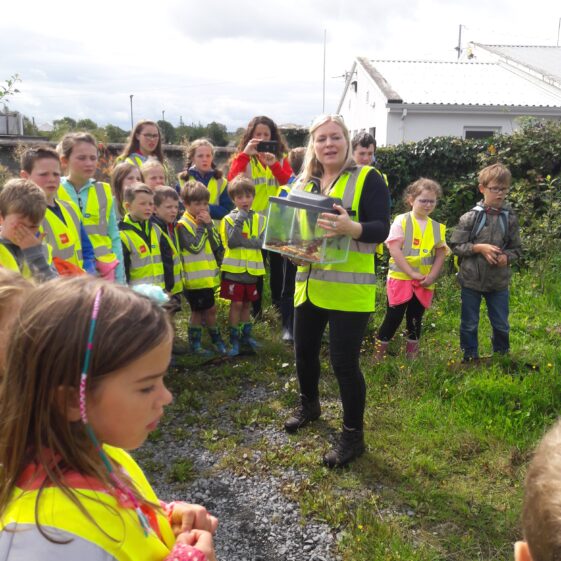 20180824_121900 Year of O'Flaherty 'Go Wild' Nature Camp
