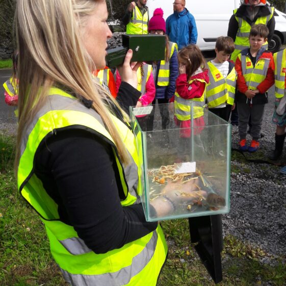 20180824_122354 Year of O'Flaherty 'Go Wild' Nature Camp