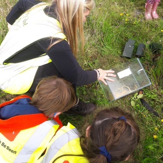 20180824_123059 Year of O'Flaherty 'Go Wild' Nature Camp
