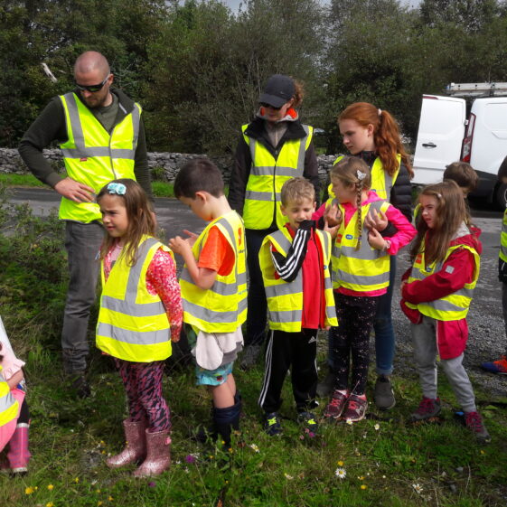 20180824_123216 Year of O'Flaherty 'Go Wild' Nature Camp
