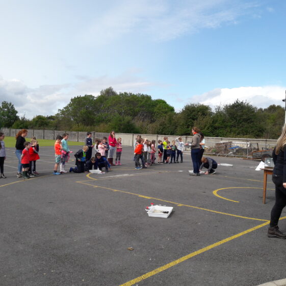 20180824_134222 Year of O'Flaherty 'Go Wild' Nature Camp