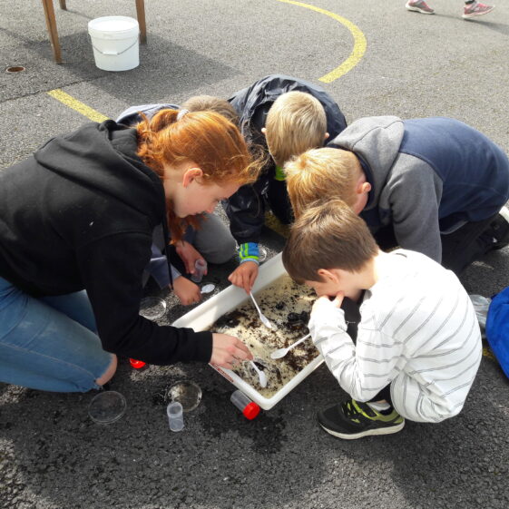 20180824_134457 Year of O'Flaherty 'Go Wild' Nature Camp