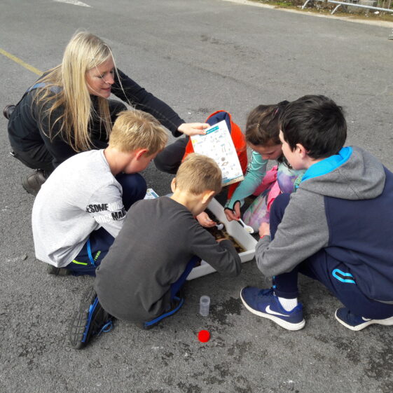 20180824_134520 Year of O'Flaherty 'Go Wild' Nature Camp