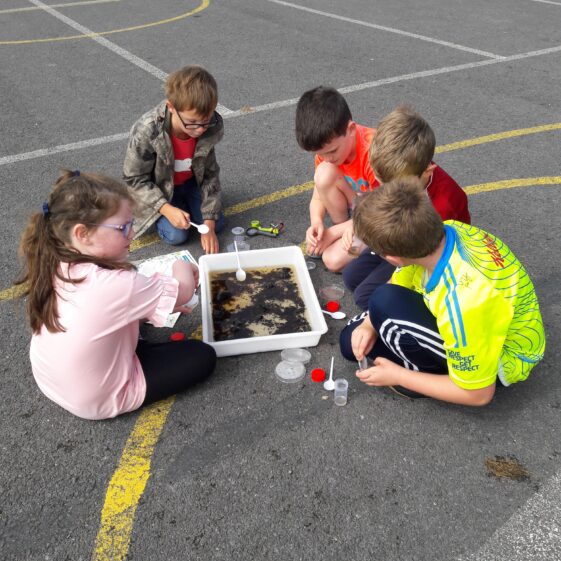 20180824_134555 Year of O'Flaherty 'Go Wild' Nature Camp