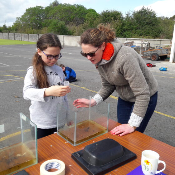 20180824_134622 Instilling the importance of our local waters and wetlands | Hazel Morrison