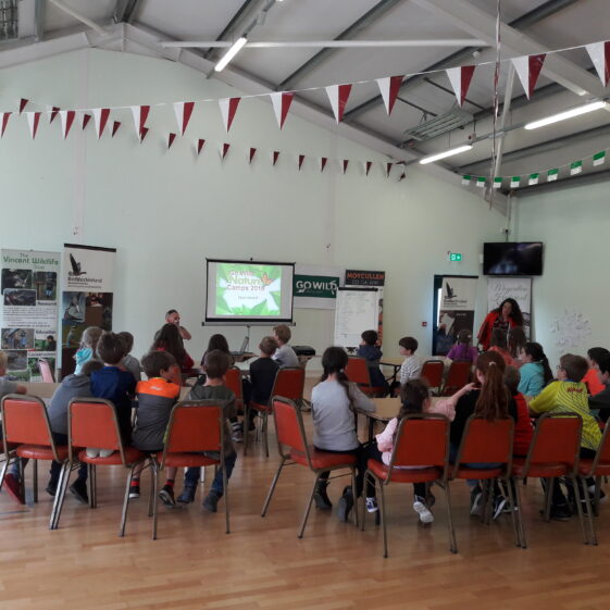 20180824_142736 Year of O'Flaherty 'Go Wild' Nature Camp