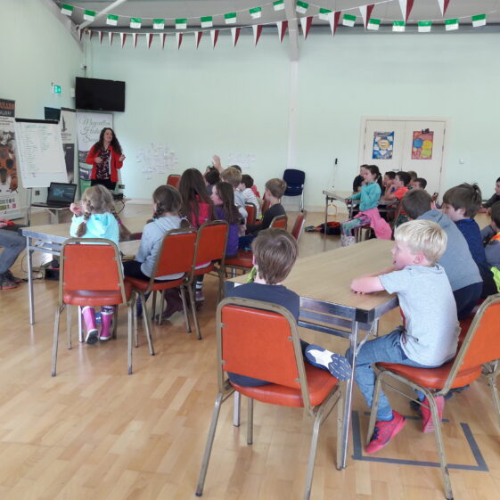 20180824_142757 Year of O'Flaherty 'Go Wild' Nature Camp