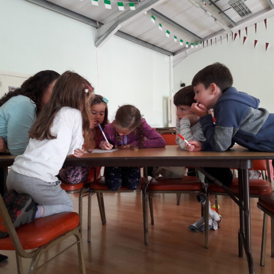 20180824_144225 Year of O'Flaherty 'Go Wild' Nature Camp