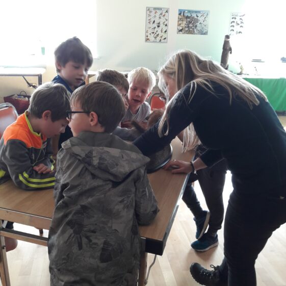 20180824_144315 Year of O'Flaherty 'Go Wild' Nature Camp