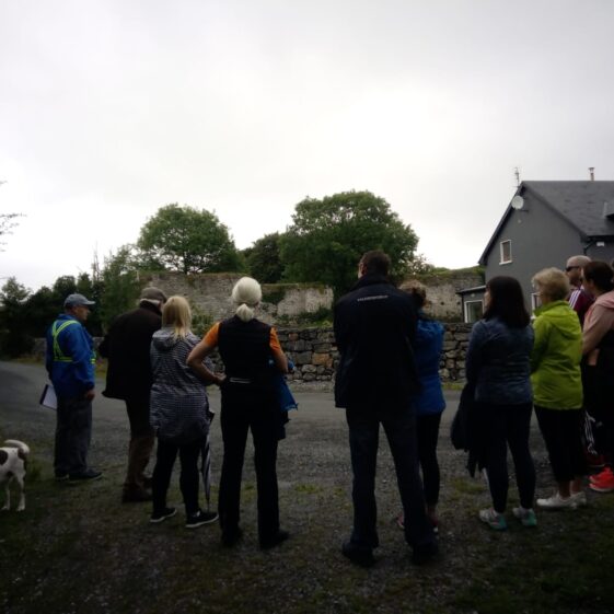 Viewing the ruinous remains of O'Flaherty's Moycullen Castle | Moycullen Historical Society
