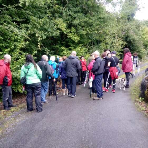 Moycullen's Mini Burren - The Rocks Road - Trail Launch