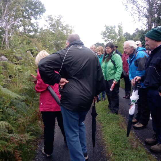Moycullen's Mini Burren - The Rocks Road - Trail Launch