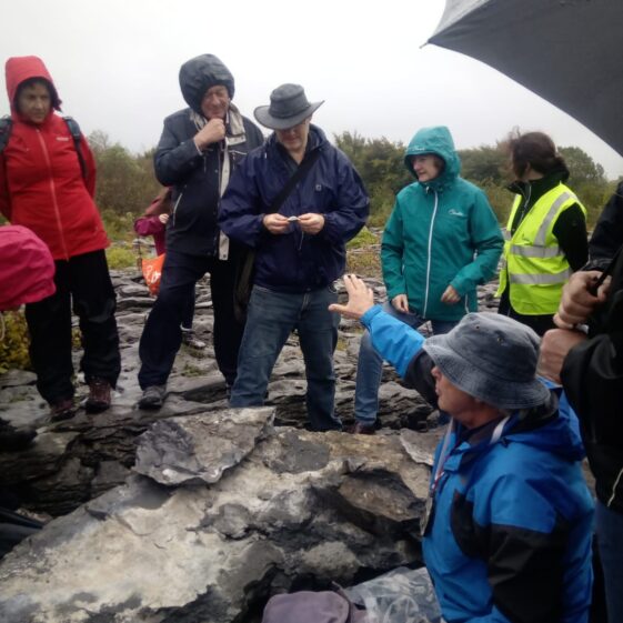 Moycullen's Mini Burren - The Rocks Road - Trail Launch