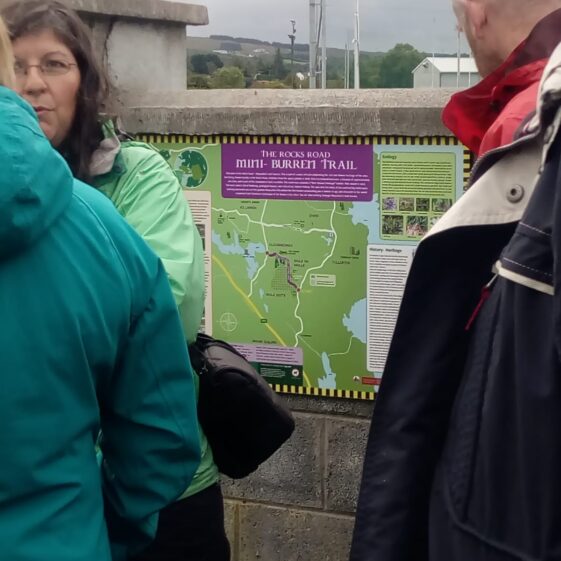 Moycullen's Mini Burren - The Rocks Road - Trail Launch
