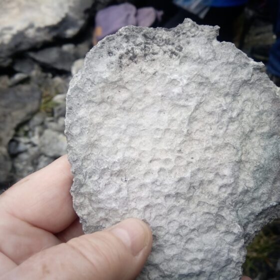 Moycullen's Mini Burren - The Rocks Road - Trail Launch