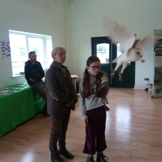 IMG_20180823_122634 Year of O'Flaherty 'Go Wild' Nature Camp