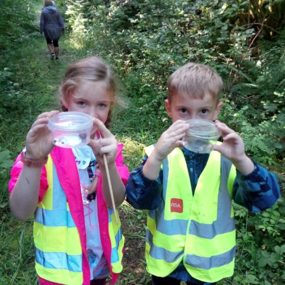 IMG_20180823_144428 Year of O'Flaherty 'Go Wild' Nature Camp