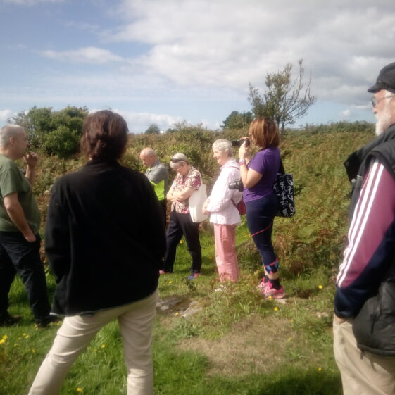 Tour of O'Flaitheartaigh's An Páirc