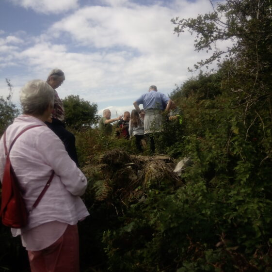 Tour of O'Flaitheartaigh's An Páirc