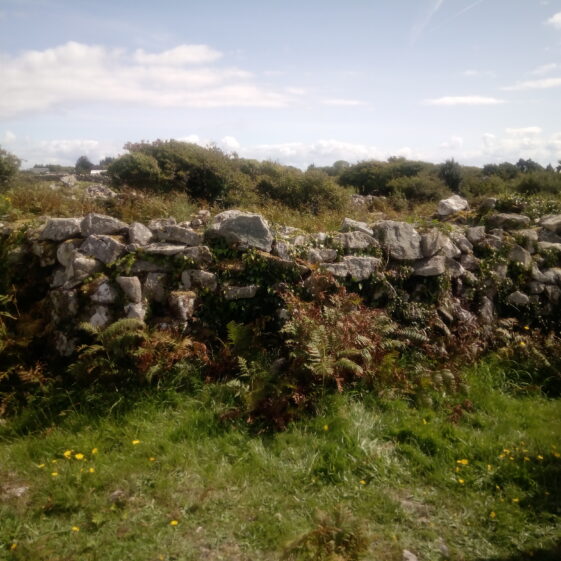 Tour of O'Flaitheartaigh's An Páirc