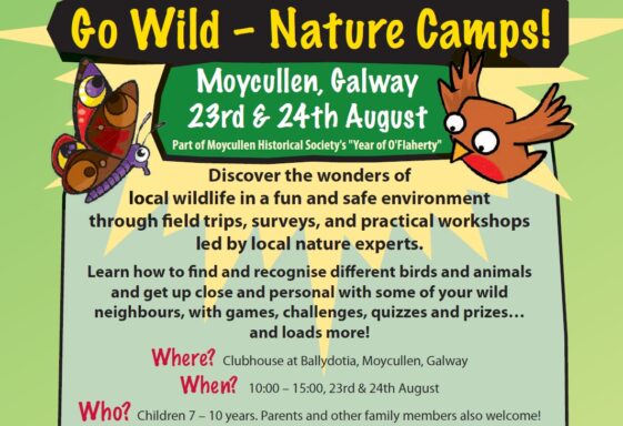 Year of O'Flaherty 'Go Wild' Nature Camp