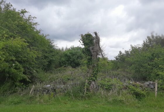 St. Brendan's Holy Well