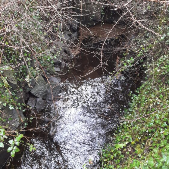 20180402_174808 The waters of the well at Tobar Bríd | Photo Moycullen Heritage
