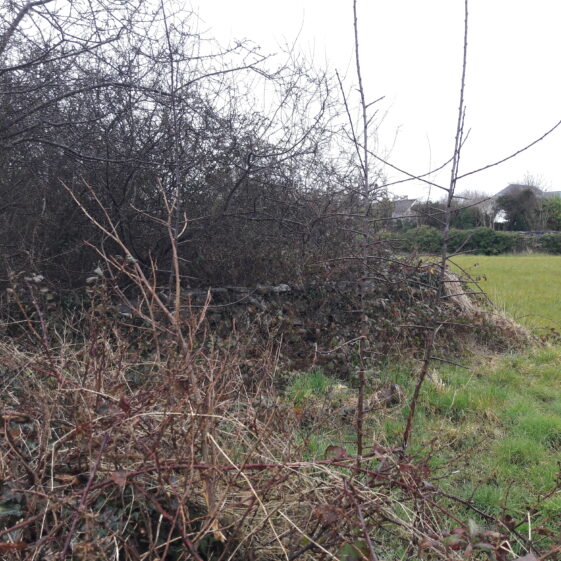 20180402_174944 Southern section of wall surrounding Tobar Bríd | Photo Moycullen Heritage