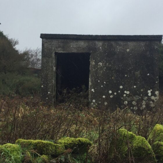Piggery 1930's Piggery on Higgins Famr. | Photo courtesy Joe Geraghty