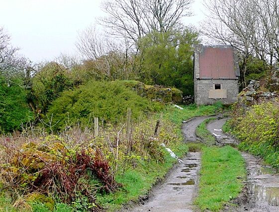 Gortgar, Knockarasser @copyright Graham Horn | cc-by-sa/2.0 - © Graham Horn - geograph.org.uk/p/1288085