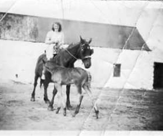 Annie Hynes (nee Walsh) | Photo Credit Julia Cullinane
