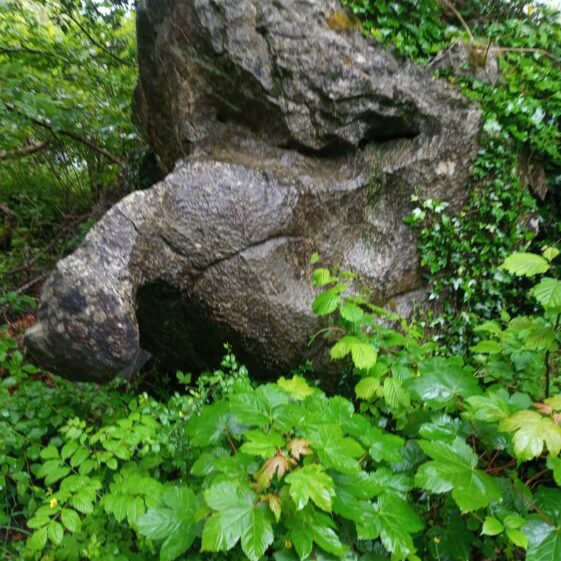 The elephant stone on the Homefarm Clooniffe Road | Moycullen Heritage