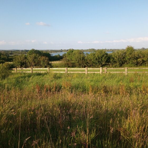 The bypass route fenced. View from N59 towards Ballyquirke | Moycullen Heritage