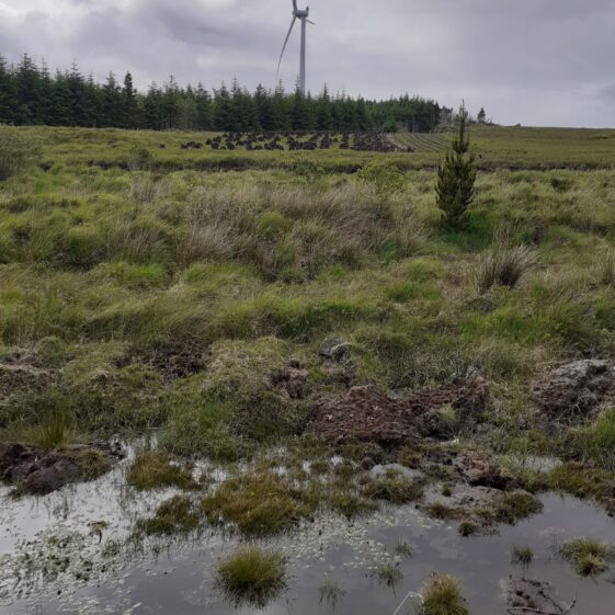 PPB 1 (1) Spiddal Road with wind turbines, trees and bog | Moycullen Heritage