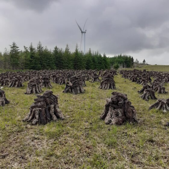 PPB 1 (2) Footing turf on the Spiddal road, Moycullen bogs | Moycullen Heritage