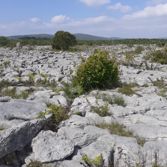 The rocks | Moycullen Heritage