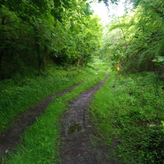 The route of the old Galway Clifden railway line on its way back to Galway | Moycullen Heritage