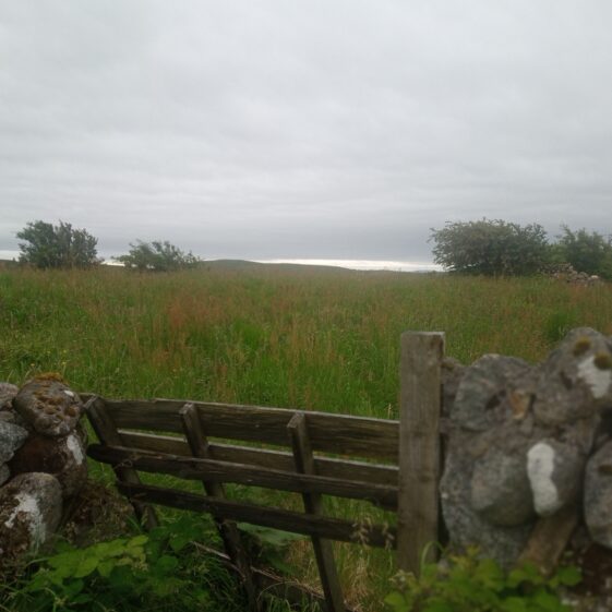 On the long road from Drumaveg | Moycullen Heritage
