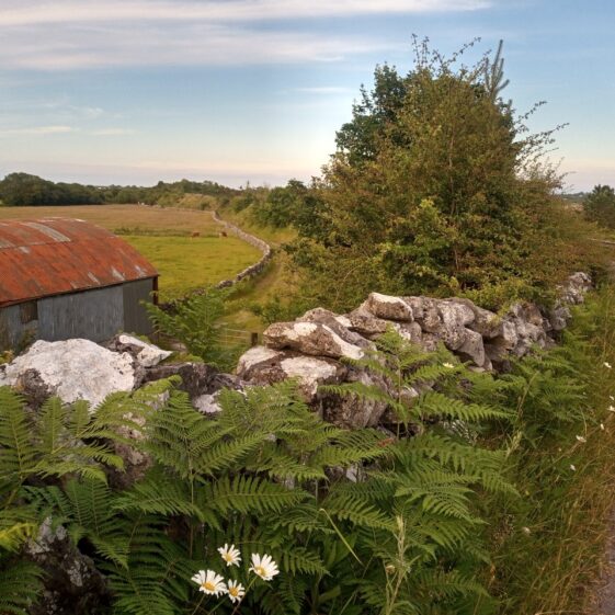 The esker road towards Tullykyne | Moycullen Heritage