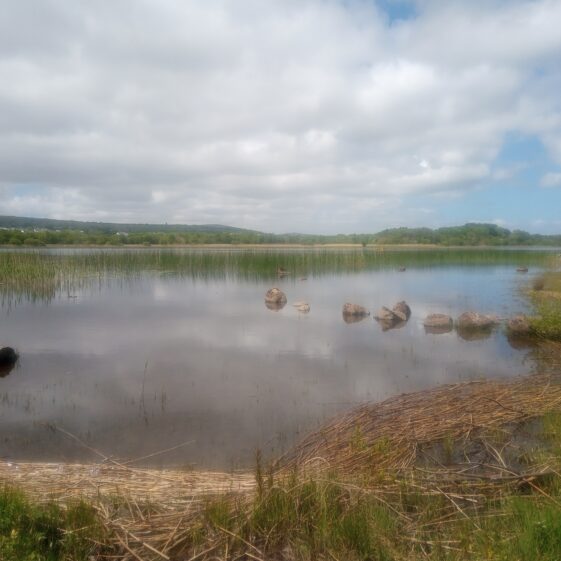 Ballyquirke | Moycullen Heritage