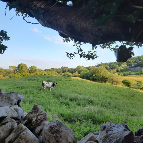Kilarainey | Moycullen Heritage