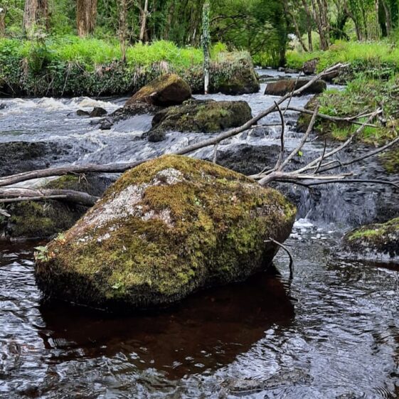Lough Kip River | Moycullen Heritage