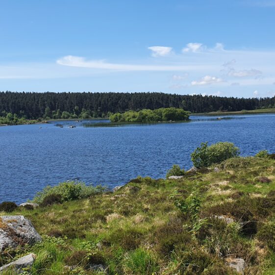 PPW 13 (7) Slieveaneena Lough | Moycullen Heritage