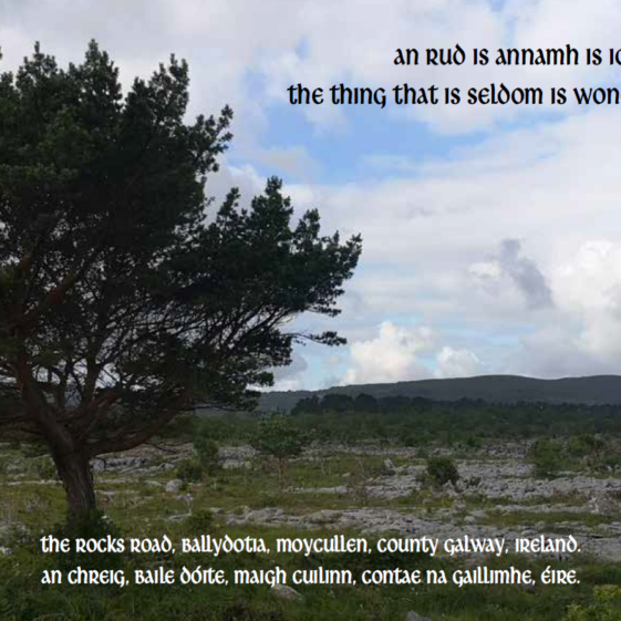 Moycullen's chosen postcard as part of National Museum's   Heritage Postcard Collection. | Moycullen Heritage