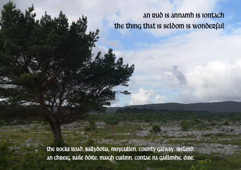 Moycullen's chosen postcard as part of National Museum's   Heritage Postcard Collection. | Moycullen Heritage