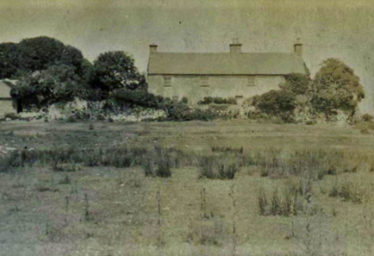 Abbott Family at Homefarm
