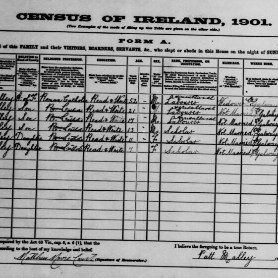 Thomas O'Malley homestead 1901 Census – House 6 [Leggaun] Moycullen | www.nationalarchives.ie