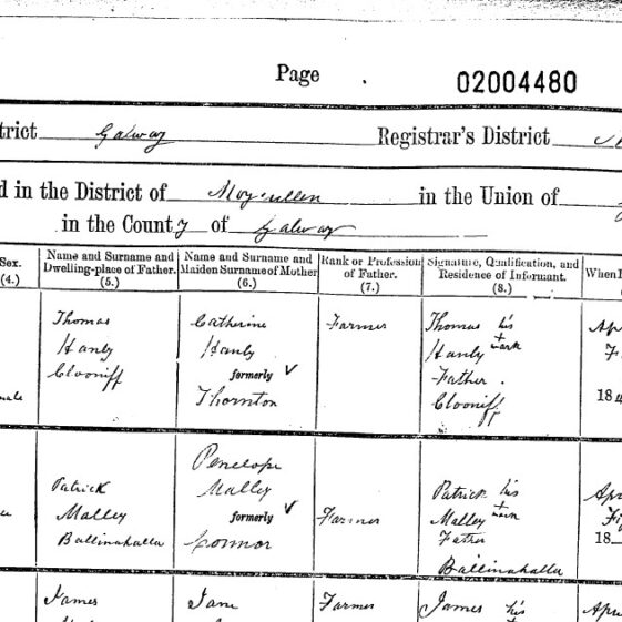 Civil Birth Record of Thomas Malley Ballinahalla 31 March 1883 - Source www.irishgenealogy.ie | www.irishgenealogy.ie