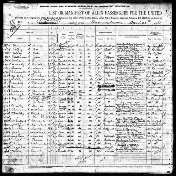 Ships Manifest SS Baltic, 28 April 1910 Page 1
 | www.ancestry.com